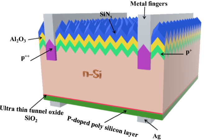 TOPCon Solar Cell