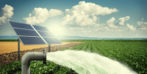 solar water pump