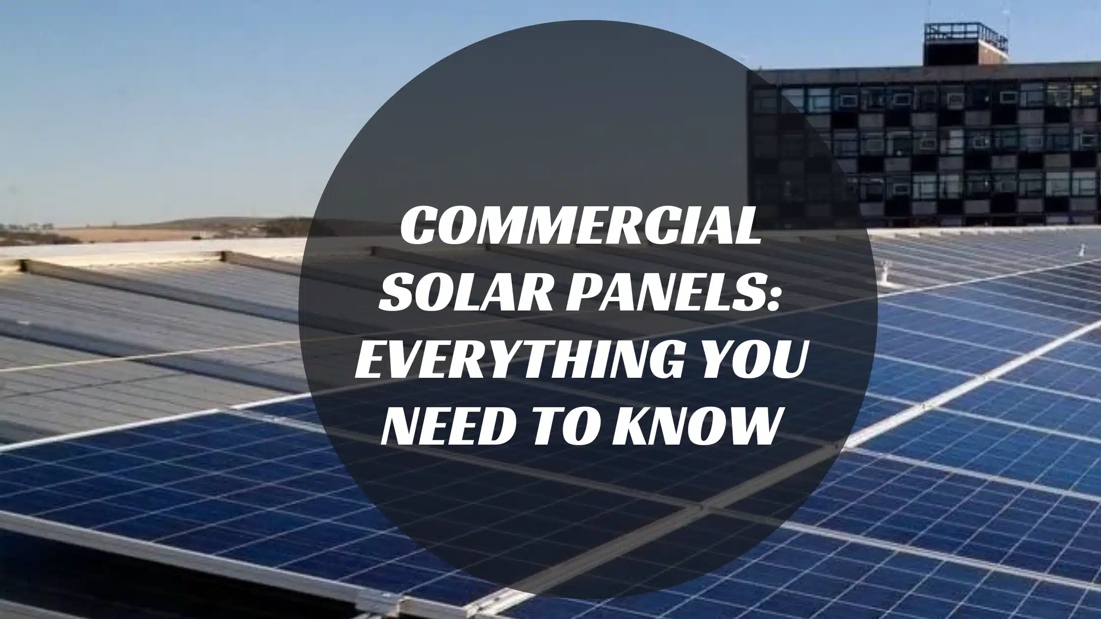 Commercial Solar Panels: Everything You Need to Know