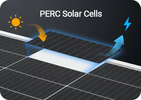 PERC Solar Cells 1