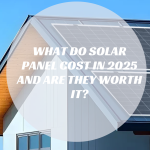 What Do Solar Panel Cost in 2025 and Are They Worth It